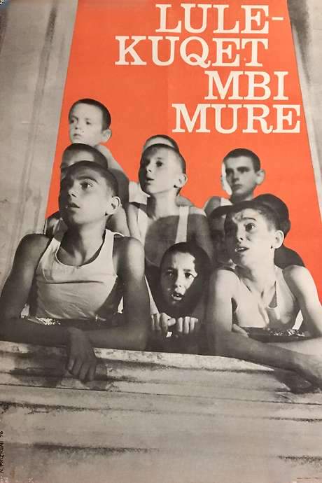 Red Poppies on the Wall